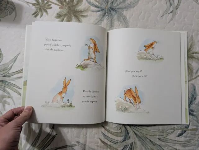 2 libros: El día que la mariquita / Adivina cuánto