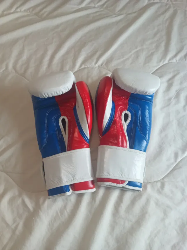 Guantes de Boxeo RC