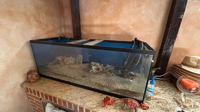 Pecera grande para terrario o reparar