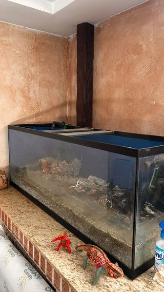 Pecera grande para terrario o reparar