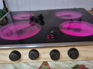 Placa vitro TEKA-THOR es manual no digital