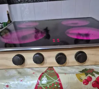 Placa vitro TEKA-THOR es manual no digital