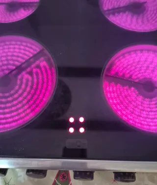 Placa vitro TEKA-THOR es manual no digital