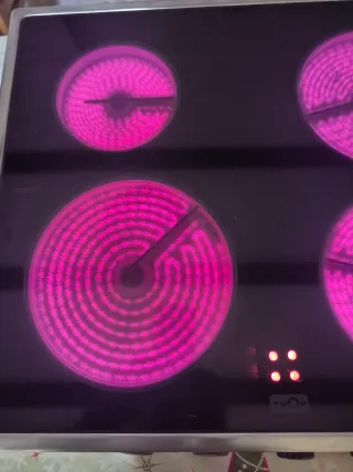 Placa vitro TEKA-THOR es manual no digital