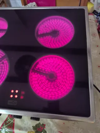 Placa vitro TEKA-THOR es manual no digital