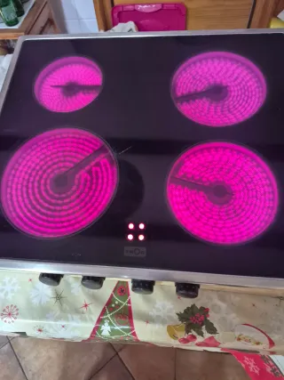 Placa vitro TEKA-THOR es manual no digital