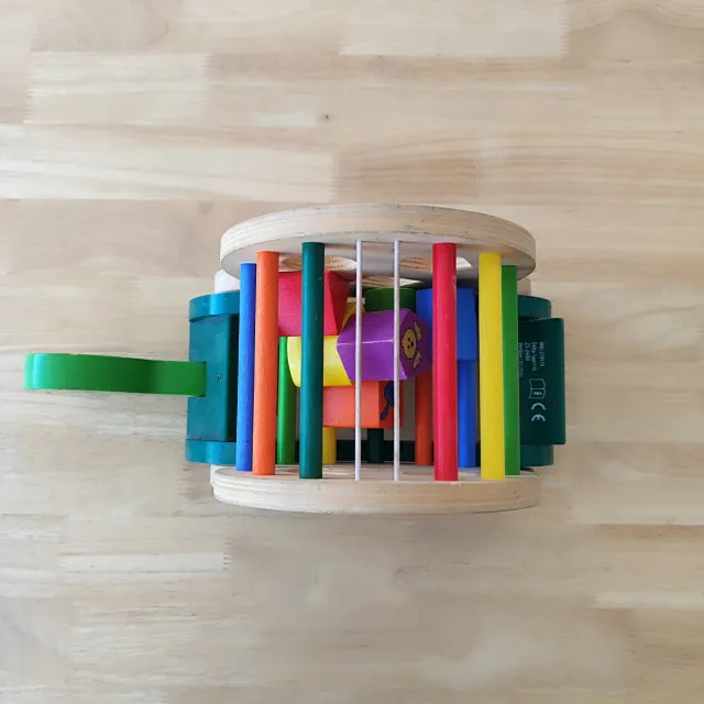 Tortuga de madera para encajar formas