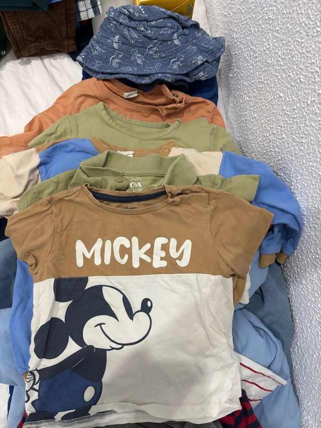 Lote Ropa Bebé 18 Meses