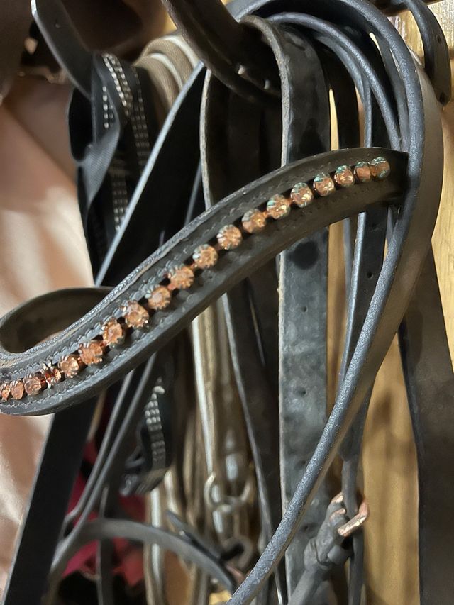 Frontalera Pony con Cristales rosas