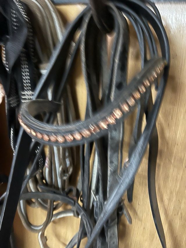 Frontalera Pony con Cristales rosas