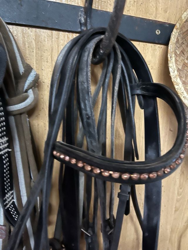 Frontalera Pony con Cristales rosas