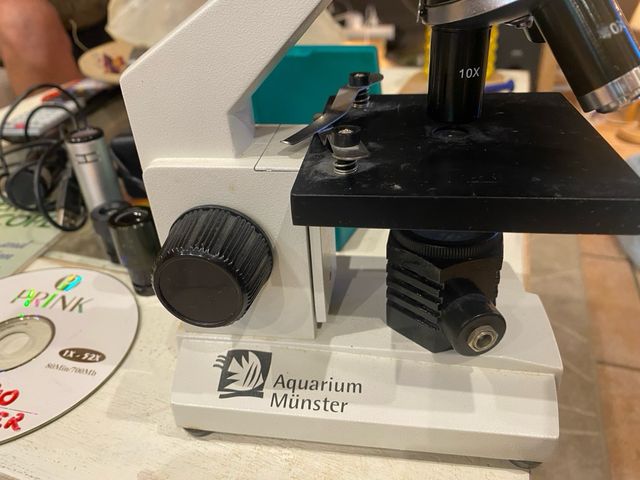 Microscopio Profesional Aquarium Münster