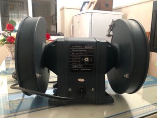 Amoladora Profesional Doble Disco