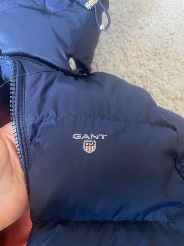 Lote Ropa Niño 7-8 Años Marcas Gant,Carolina Herr.