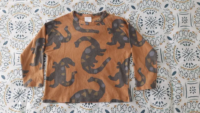 Camiseta de dinosaurios de Zara, talla 3-4 años.