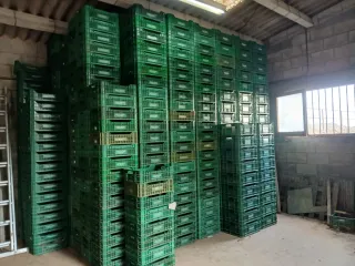 Cajas de plástico para frutas/verduras