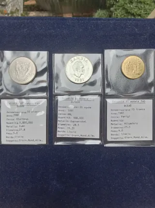 Lotto 3 Monete FAO 1981 - Sudan, Zambia, Bcao
