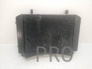 Radiador Agua Suzuki GSR