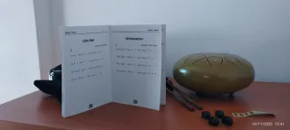 Tambor de Lengua de Acero 8 Notas