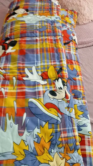 Trapunta singola Caleffi Topolino