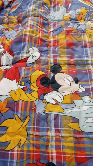 Trapunta singola Caleffi Topolino