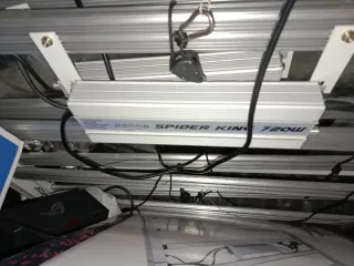 Foco LED Spider King 720W Profesional , regalo A+B