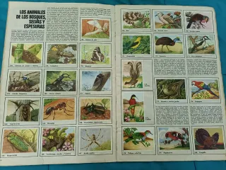 Grande álbum de Félix el amigo de los animales