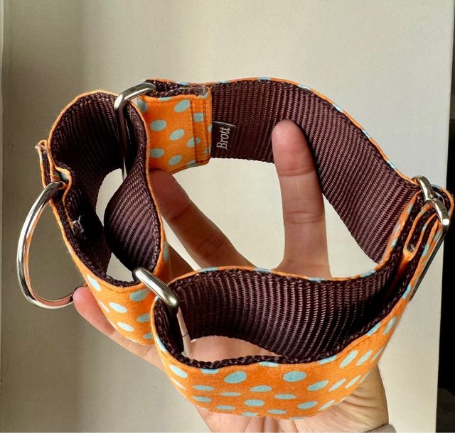 Collar Martingale Galgo/Podenco Naranja y Turquesa