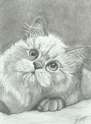 Clases de dibujo, puntura e historia  del arte