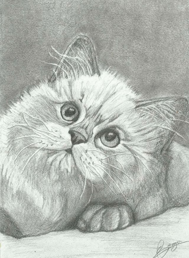 Clases de dibujo, puntura e historia  del arte