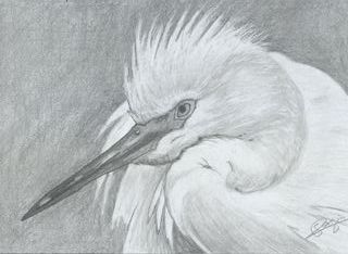 Clases de dibujo, puntura e historia  del arte