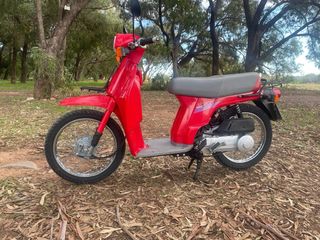 Honda SH75 Scoopy 1991 (posible transporte)