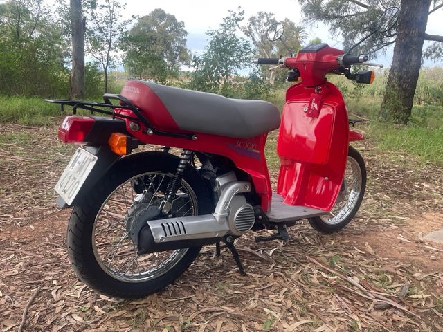 Honda SH75 Scoopy 1991 posible transporte