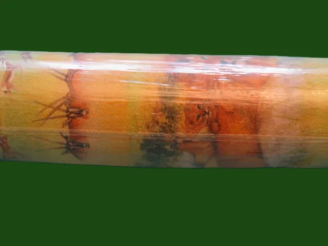 Rollo papel pintado cenefa