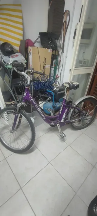 Bici elettrica