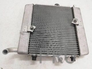 Radiador Agua Honda Forza