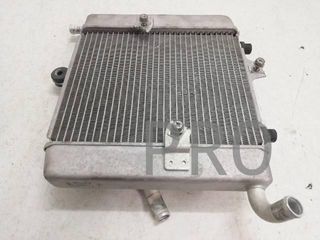Radiador Agua Honda Forza