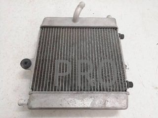 Radiador Agua Honda Forza
