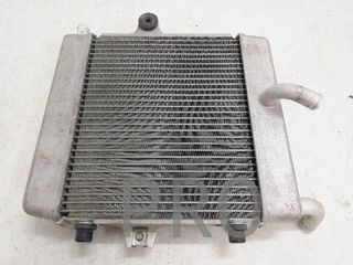 Radiador Agua Honda Forza