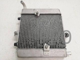 Radiador Agua Honda Forza