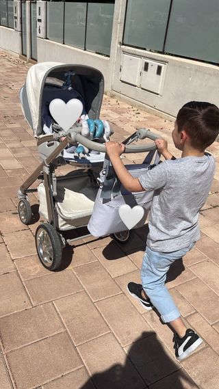 Carricoche Bebecar IP-OP