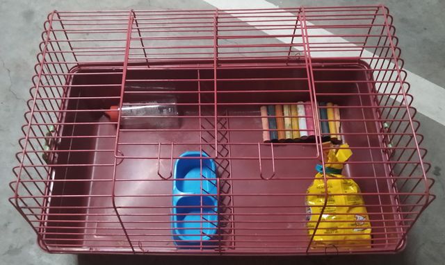 Jaula para conejos con accesorios