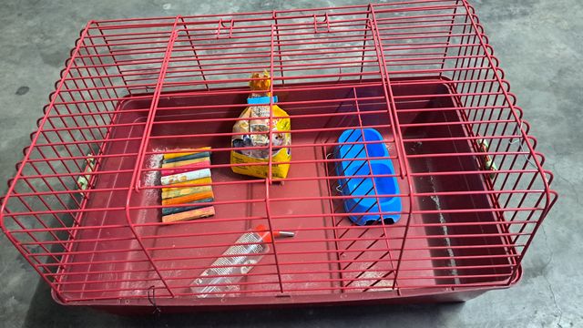 Jaula para conejos con accesorios