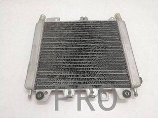 Radiador Agua Gilera Nexus