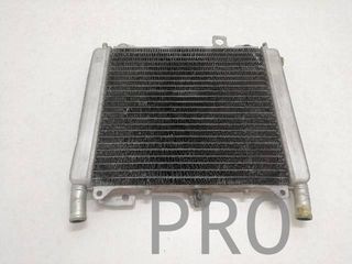 Radiador Agua Gilera Nexus