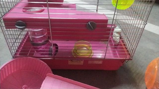 Jaula para hámster con accesorios