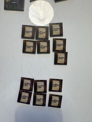 Mansiones de la Locura Tokens Repuestos