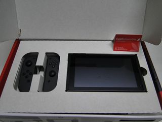 NINTENDO SWITCH (176255)