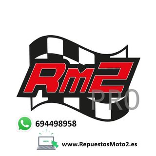 Motor Electrico Caballete Piaggio X9