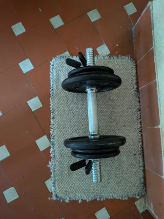 Mancuerna ajustable 10kg